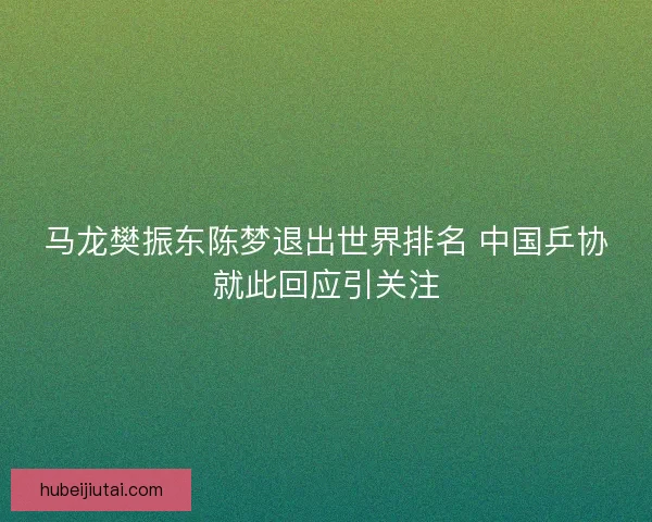 马龙樊振东陈梦退出世界排名 中国乒协就此回应引关注